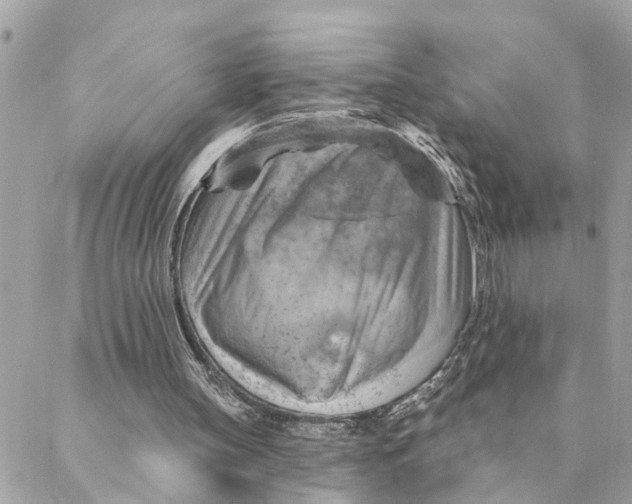 X0000088060147200706011457