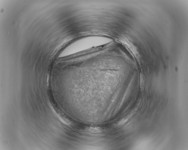 X0000088060157200706011457