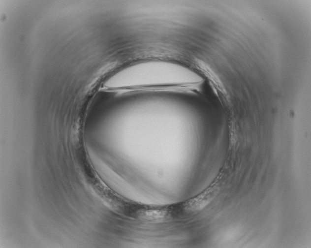 X0000088060163200706011457
