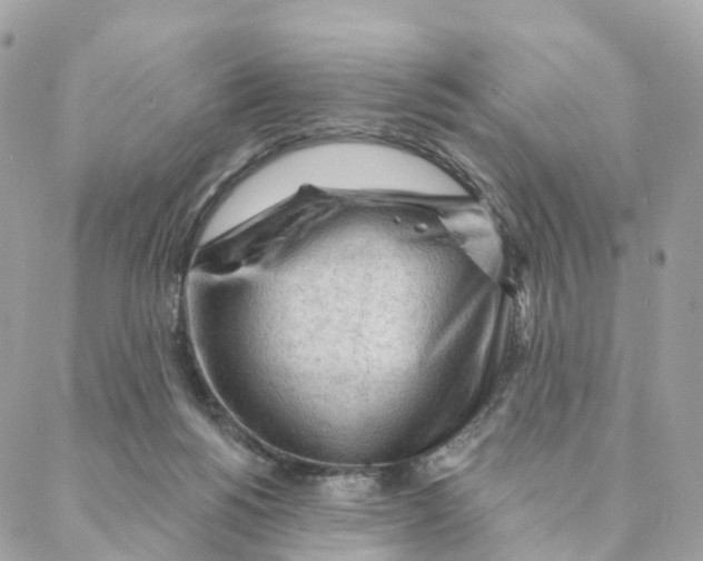 X0000088060168200706011457