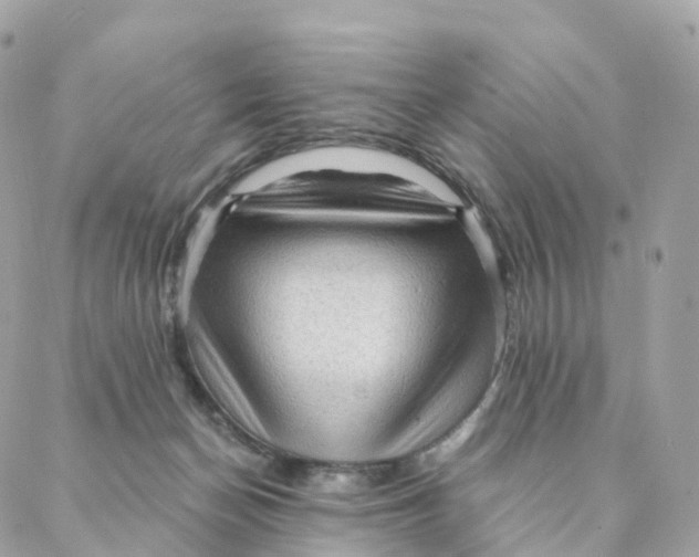 X0000088060174200706011457