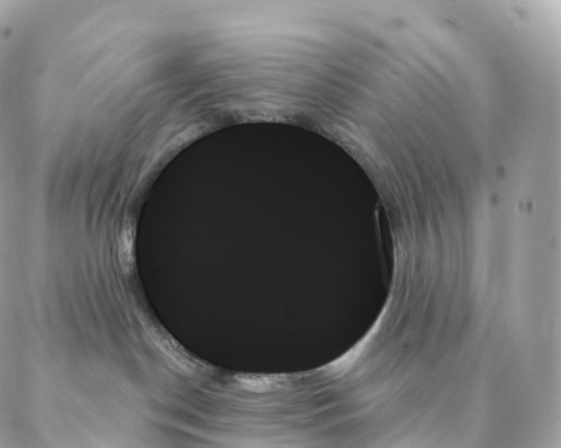 X0000088060190200706011458