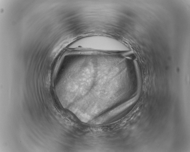 X0000088060194200706011457