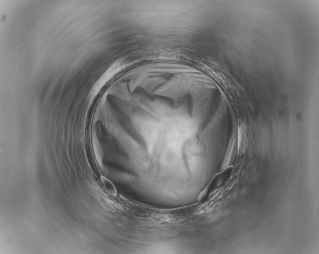 X0000088060195200706011457