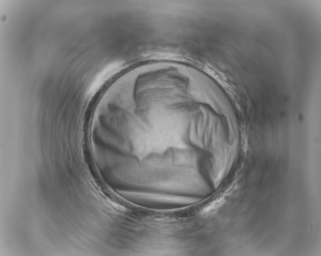 X0000088060199200706011457