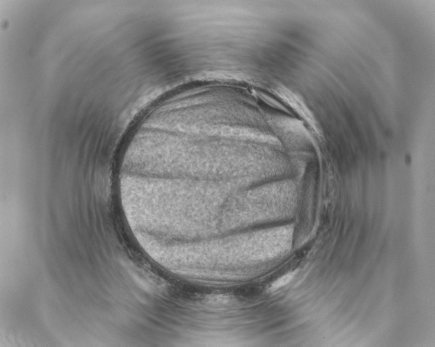 X0000088060204200706011457