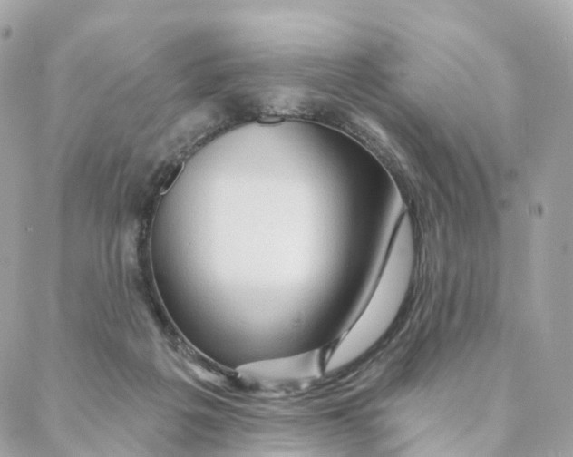 X0000088060217200706011457