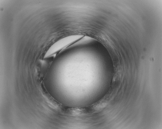 X0000088060229200706011456