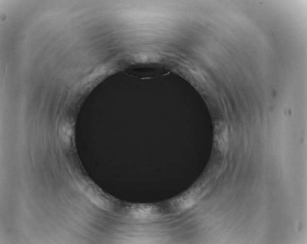 X0000088060235200706011456