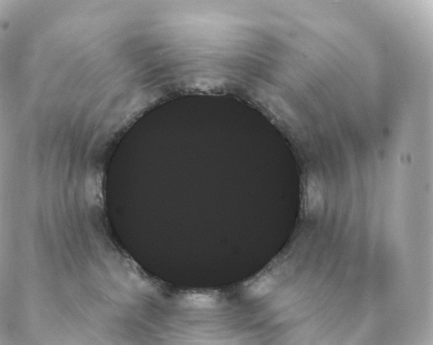 X0000088060236200706011456