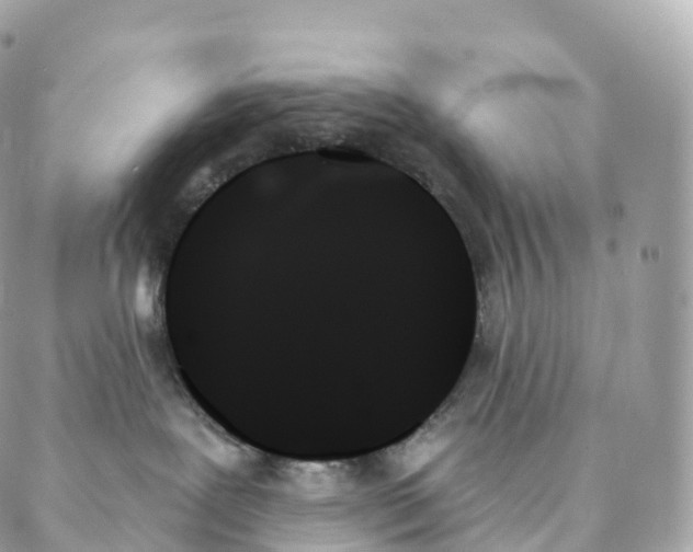 X0000088060239200706011456