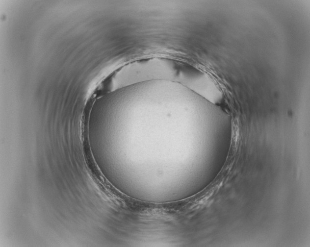X0000088060244200706011455