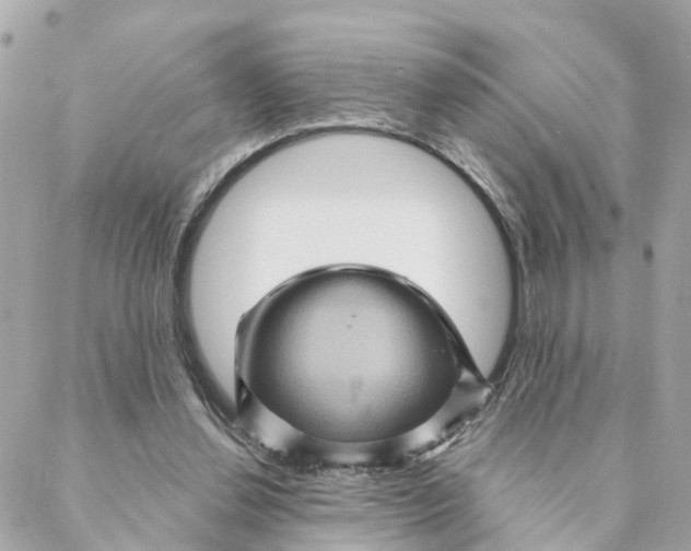 X0000088060252200706011456