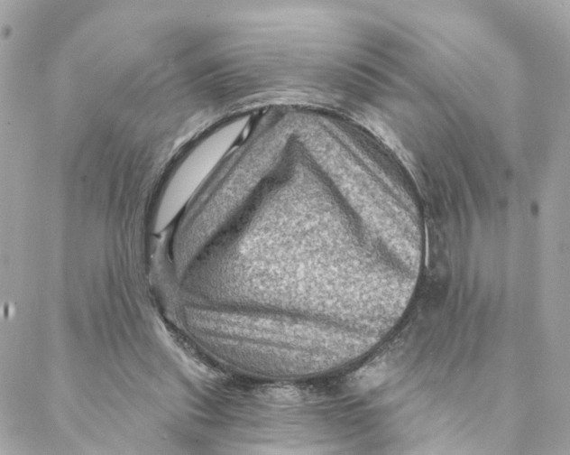 X0000088060253200706011456
