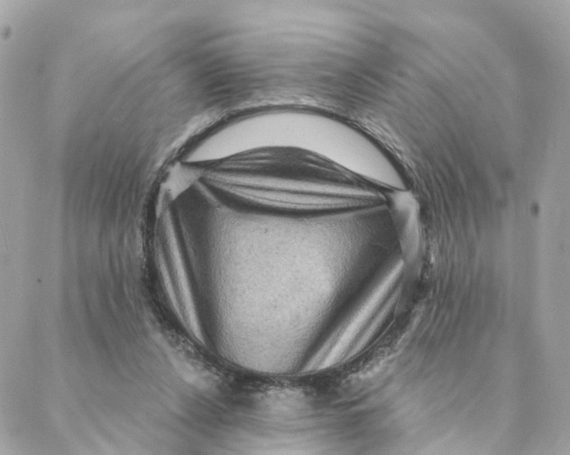 X0000088060256200706011456