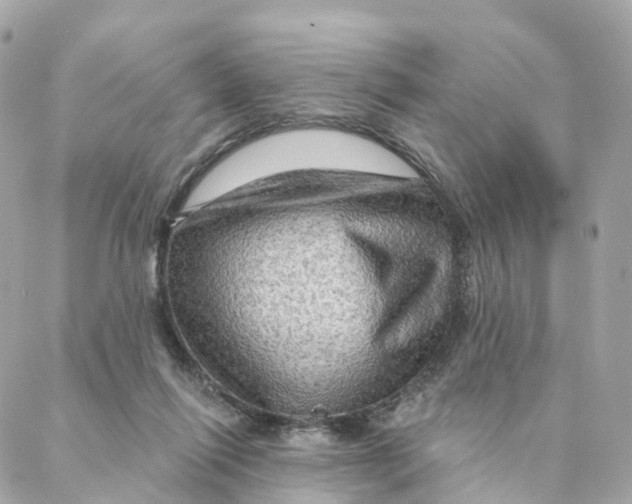 X0000088060262200706011456
