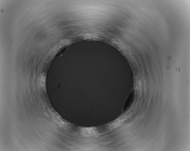 X0000088060281200706011456