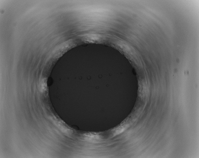 X0000088060284200706011456