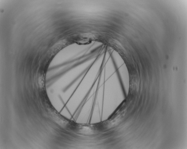 X0000088060285200706011456