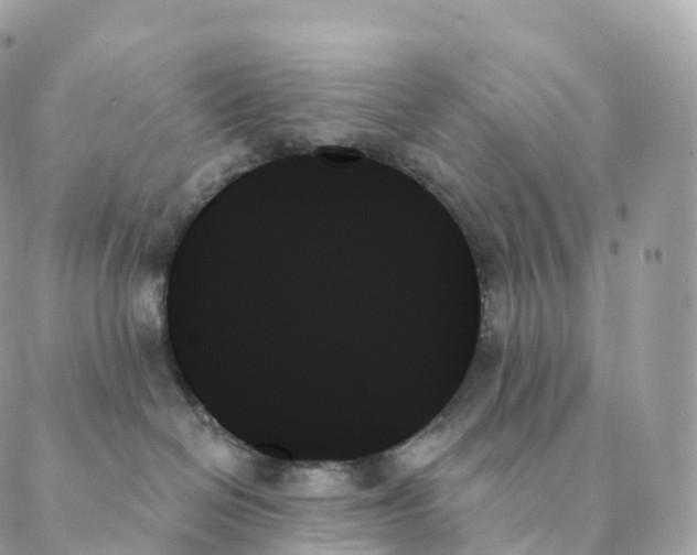 X0000088060286200706011456
