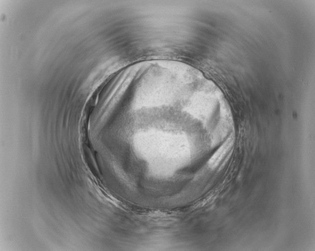 X0000088060290200706011455