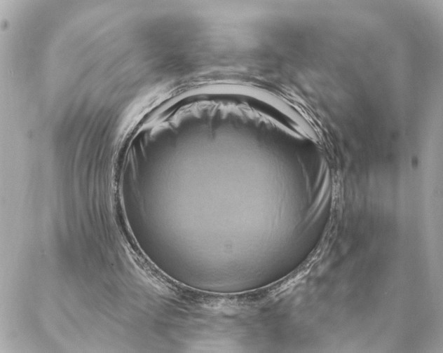 X0000088060293200706011455