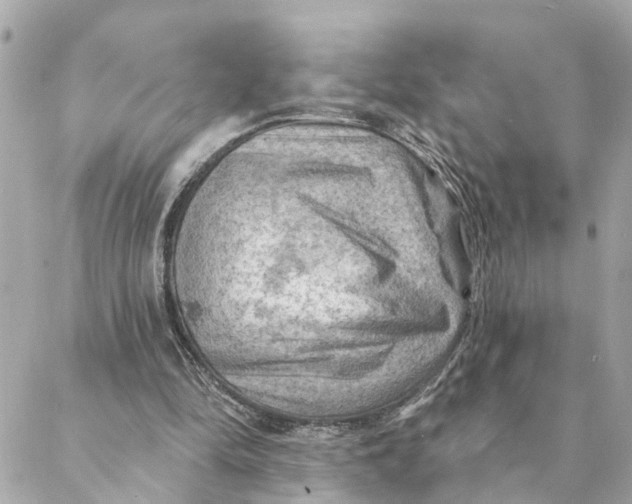 X0000088060294200706011455