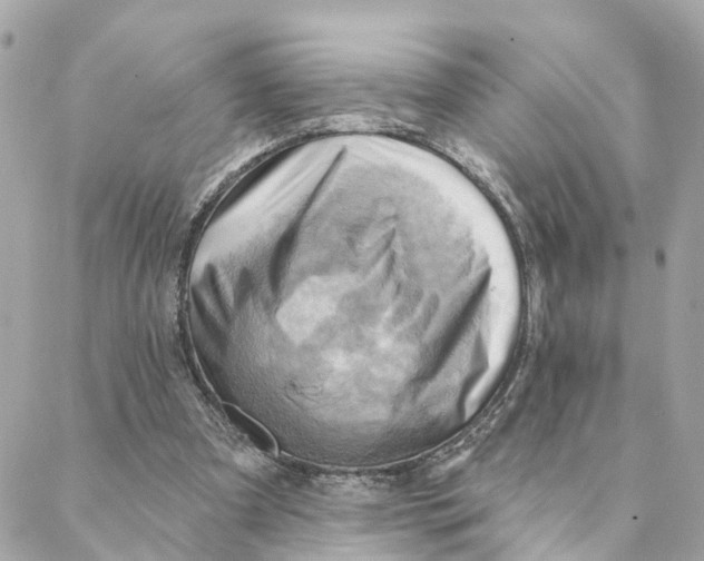 X0000088060297200706011455