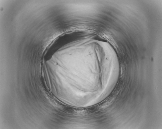 X0000088060301200706011455