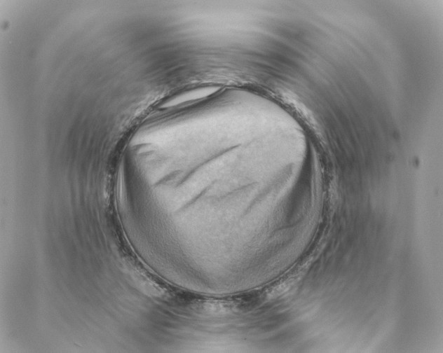 X0000088060305200706011455