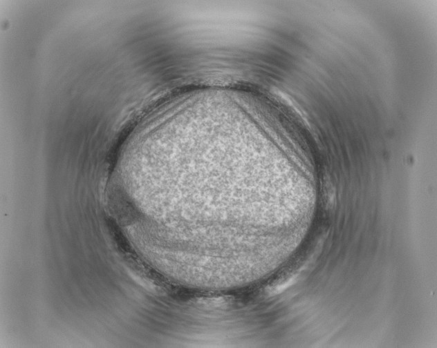 X0000088060307200706011455
