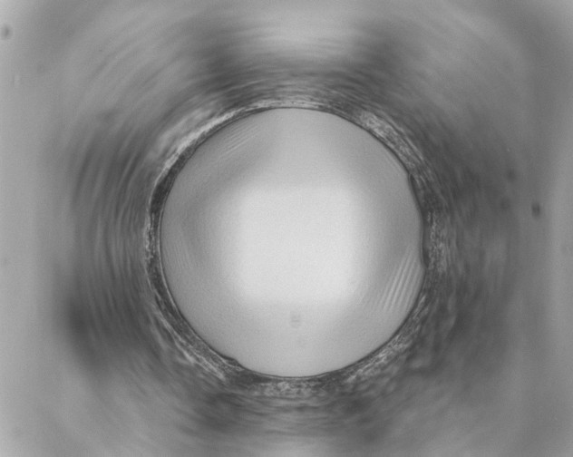 X0000088060338200706011454