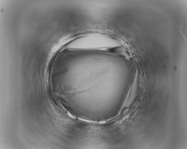 X0000088060343200706011454