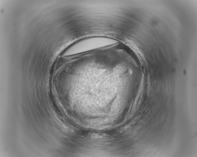 X0000088060346200706011454