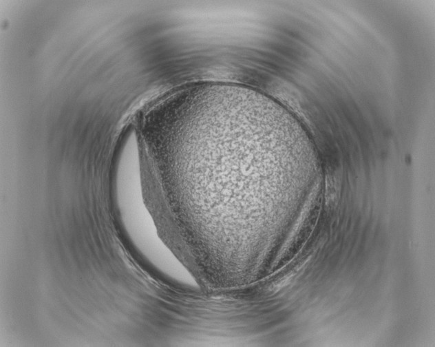 X0000088060349200706011454