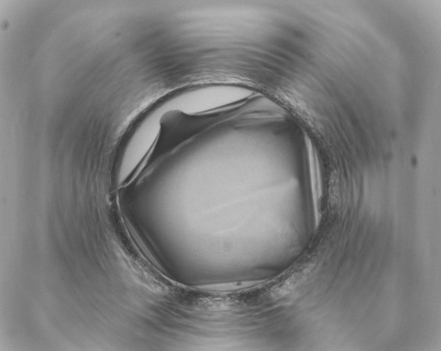 X0000088060351200706011454