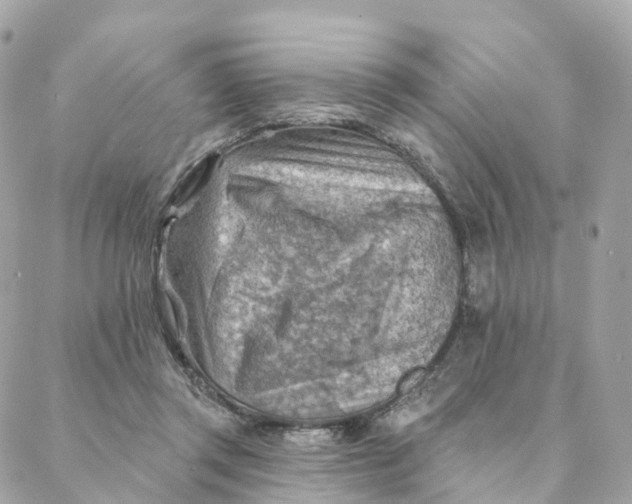 X0000088060357200706011454