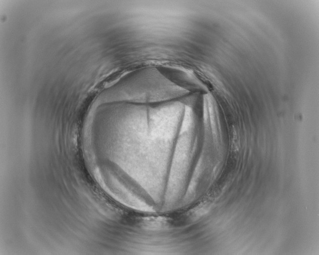 X0000088060363200706011454