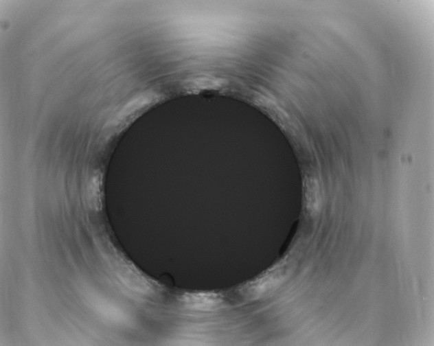 X0000088060378200706011455