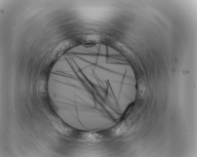 X0000088060379200706011455