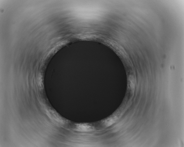 X0000088060380200706011455