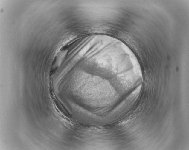 X0000088060386200706011454