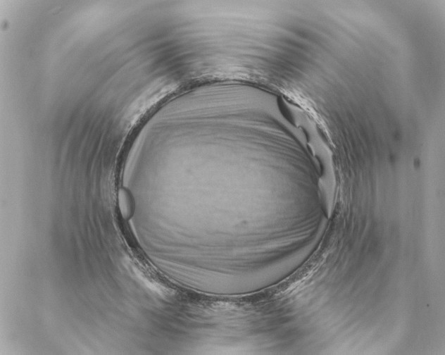 X0000088060390200706011454