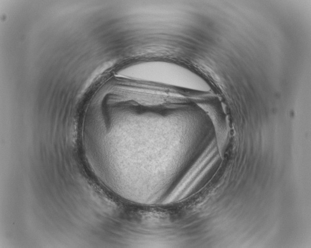 X0000088060400200706011454