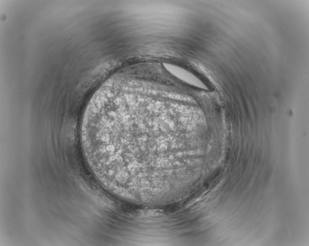 X0000088060451200706011453