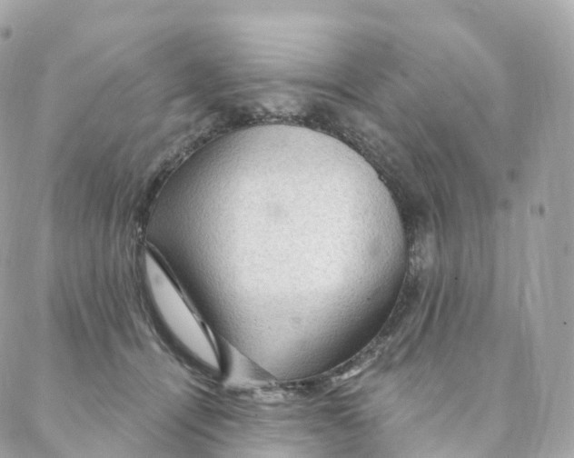 X0000088060464200706011453