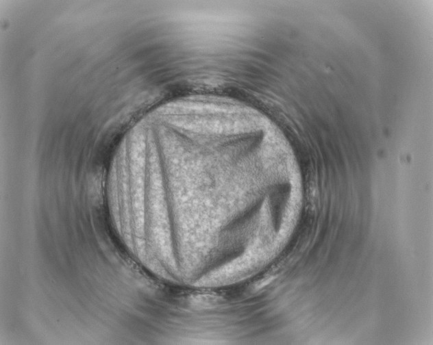X0000088060468200706011453