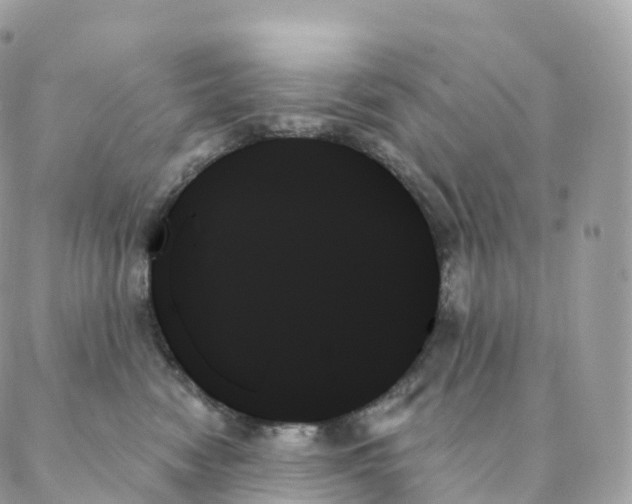 X0000088060474200706011453