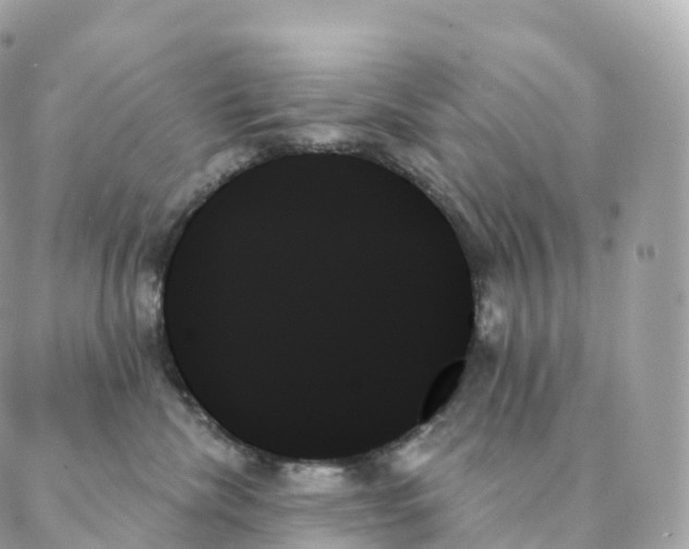 X0000088060476200706011453