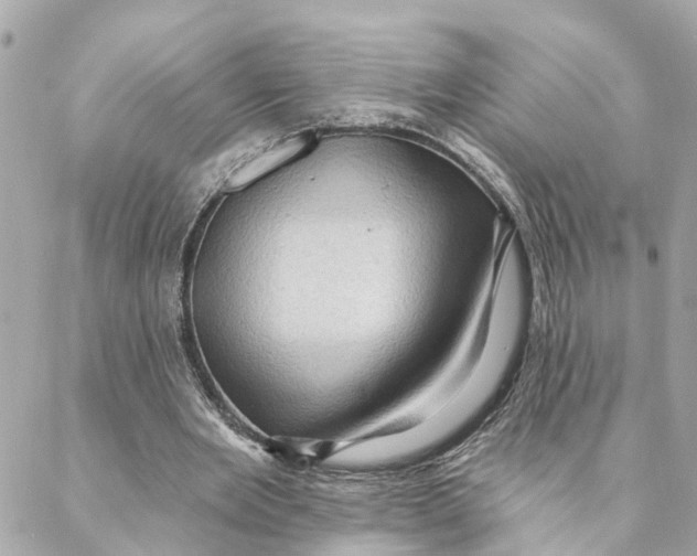 X0000088060485200706011452